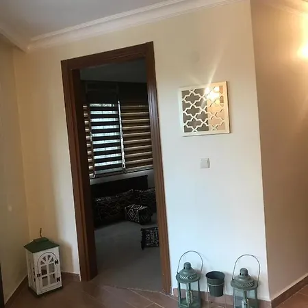 Oral Sapanca