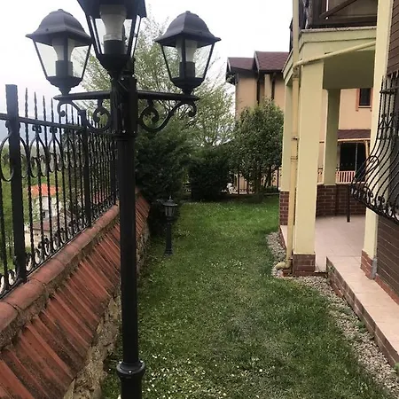 Oral Sapanca