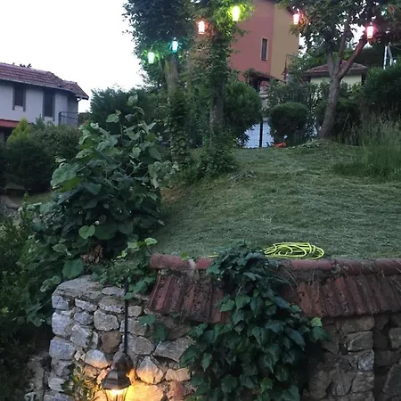 Oral Sapanca